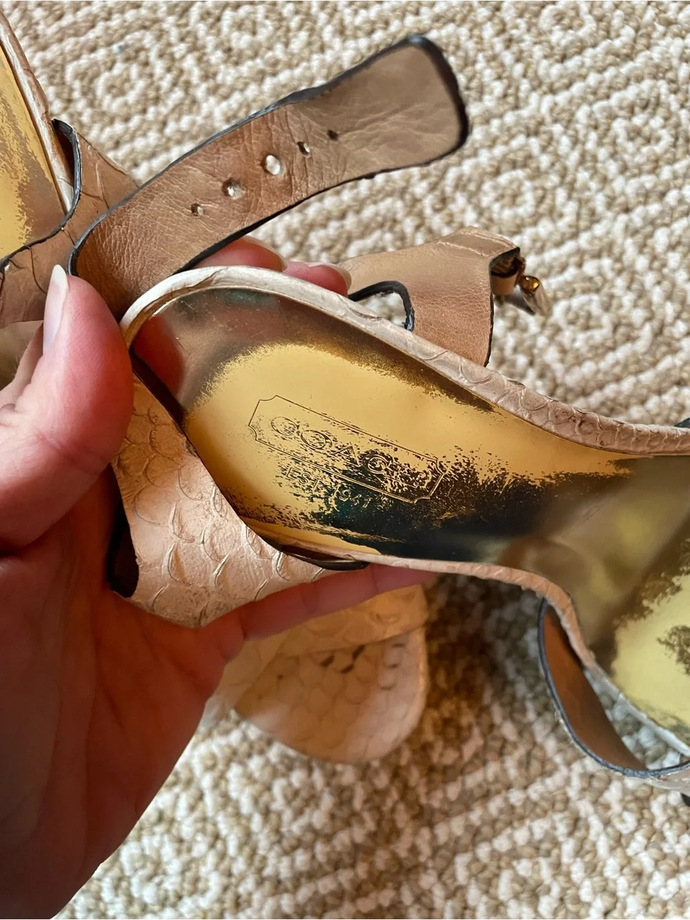 Coach Snakeskin Platform Strappy Sandal